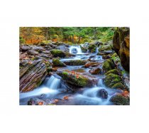 Enjoy - 1000 darabos - 1281 - Forest Stream in Autumn