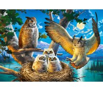 Castorland - 500 darabos - 53322 Owl Family