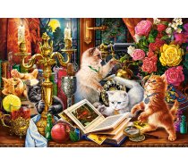 Castorland - 1000 darabos - C-104857-2 - Wizard Kittens