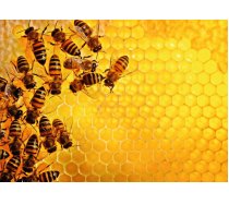 Ravensburger - 1000 darabos - 17362 - Bees on the Honeycomb