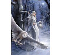 Art puzzle - 1000 darabos - Anne Stokes Collection: Midnight Messenger