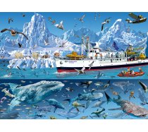 Bluebird - 1500 darabos - 90038 - Francois Ruyer - Arctic - Bluebird Boat