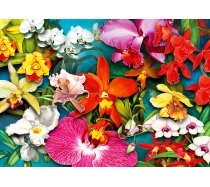 Enjoy - 1000 darabos - 2033 - Orchid Jungle