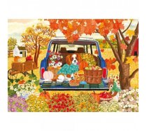 Magnolia - 1000 darabos - 9108 - Shanya Bharti: Dog in the Car