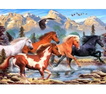 Alipson - 500 darabos - 50171 - Wild and Free