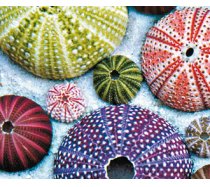 Piatnik - 1000 darabos puzzle - 548840 - Tengeri sünök