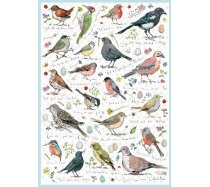 Otter-House - 1000 darabos - 75087 - Birdsong