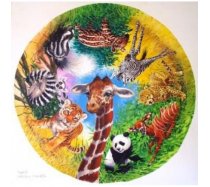 JHG Puzzles - 500 darabos - Spots and Stripes Exotic Babies